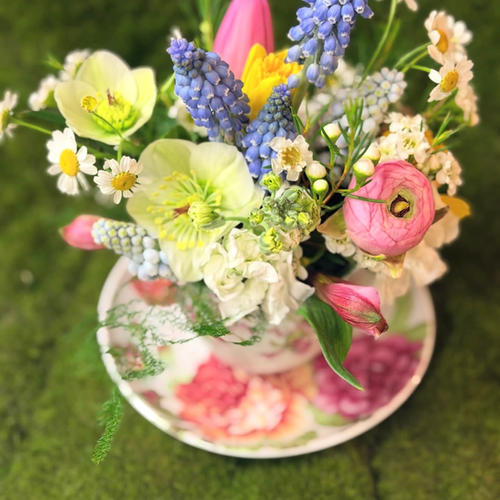 Tea Cup of Blooms